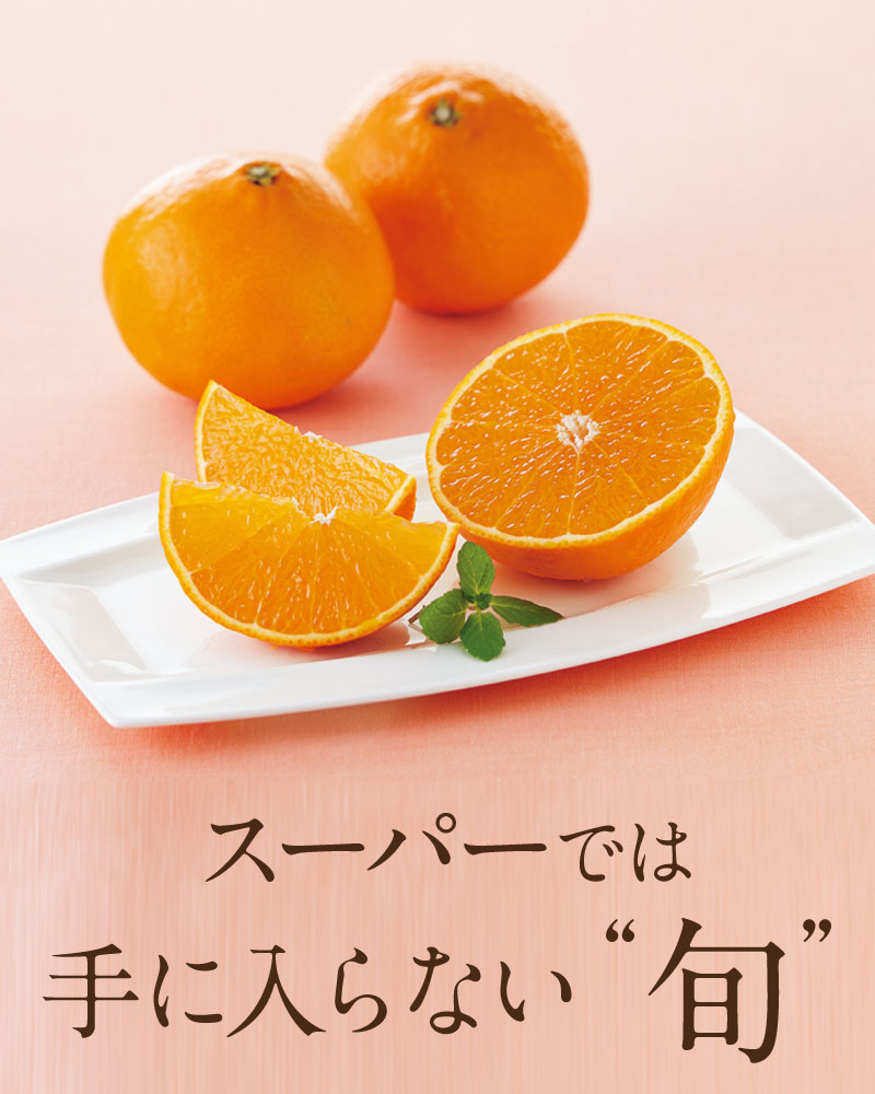 MSMクリーム 普通に歩ける毎日に感動。: ｜ カタログ通販のハルメク