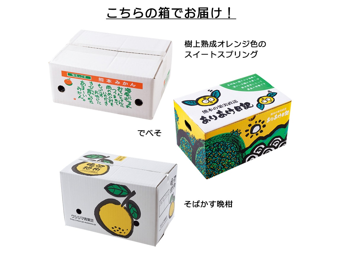 熊本ウシジマ青果 柑橘産直便(全3回) 熊本ウシジマ青果 柑橘産直便(全3回)