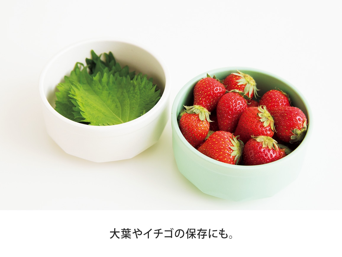 ニュービッグねぎっ庫 ニュービッグねぎっ庫