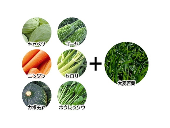 国産素材 生搾り青汁(30包) 国産素材 生搾り青汁(30包)