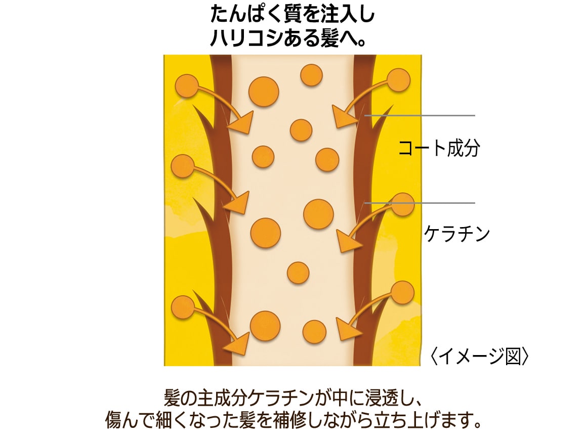 ハルメク 美・白髪シャンプー ２本組: ｜ カタログ通販のハルメク