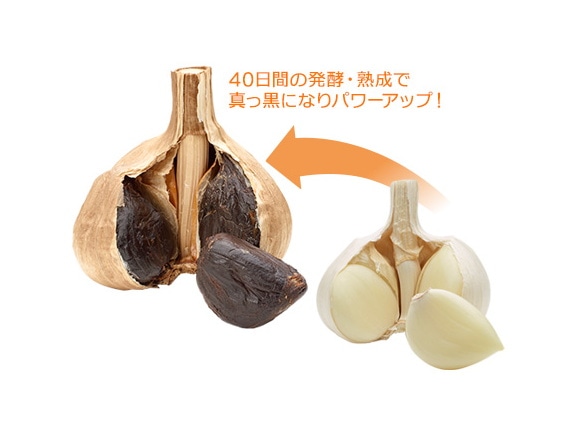 「定期おトク便」ハルメク 白神山麓黒にんにく(2箱)2か月ごとお届けコース 「定期おトク便」ハルメク 白神山麓黒にんにく(2箱)2か月ごとお届けコース