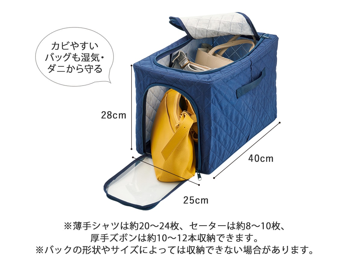 取り出しやすい防ダニ衣類収納ボックス(2個組) 小 取り出しやすい防ダニ衣類収納ボックス(2個組) 小