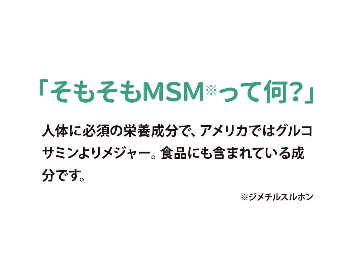 ハルメク ＭＳＭクリーム（３個組）リーフレット付き: ｜ カタログ通販