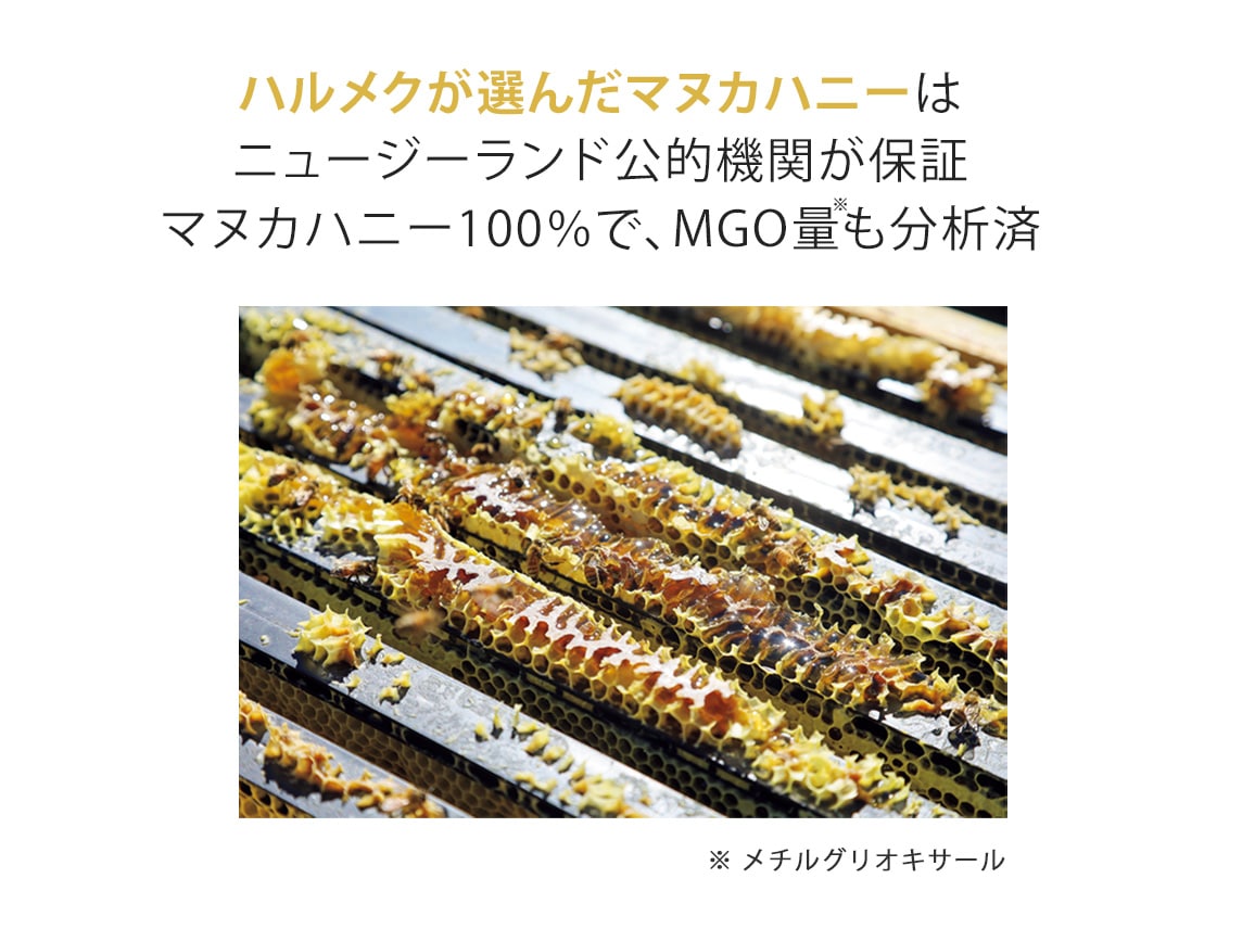 マヌカハニーMGO600+ 500gのご購入はコダマ健康食品オンライン
