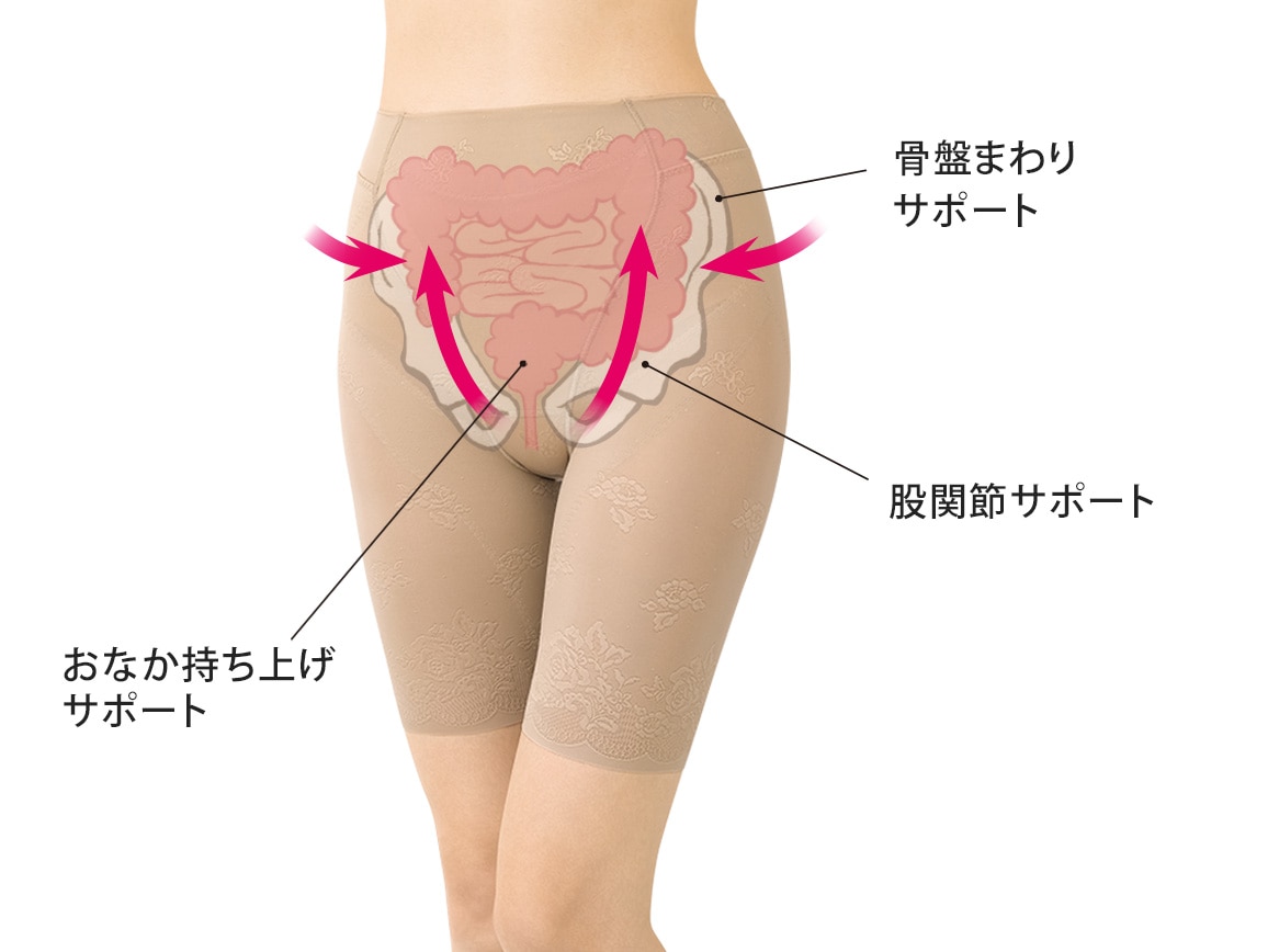 【返金保証】ハルメク 健康サポート・ヘルシーガードル(通年用) 【返金保証】ハルメク 健康サポート・ヘルシーガードル(通年用)