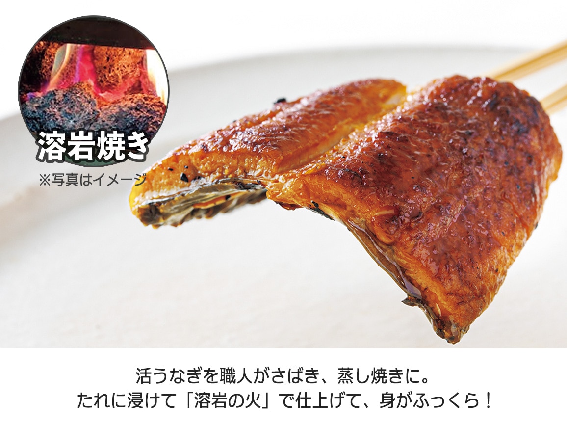 お徳用 愛知三河産うなぎ蒲焼詰め合わせ(10袋) お徳用 愛知三河産うなぎ蒲焼詰め合わせ(10袋)