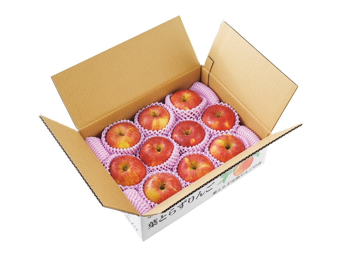 【送料込み価格】特選 葉とらず弘前ふじ(2.5Kg) 【送料込み価格】特選 葉とらず弘前ふじ(2.5Kg)