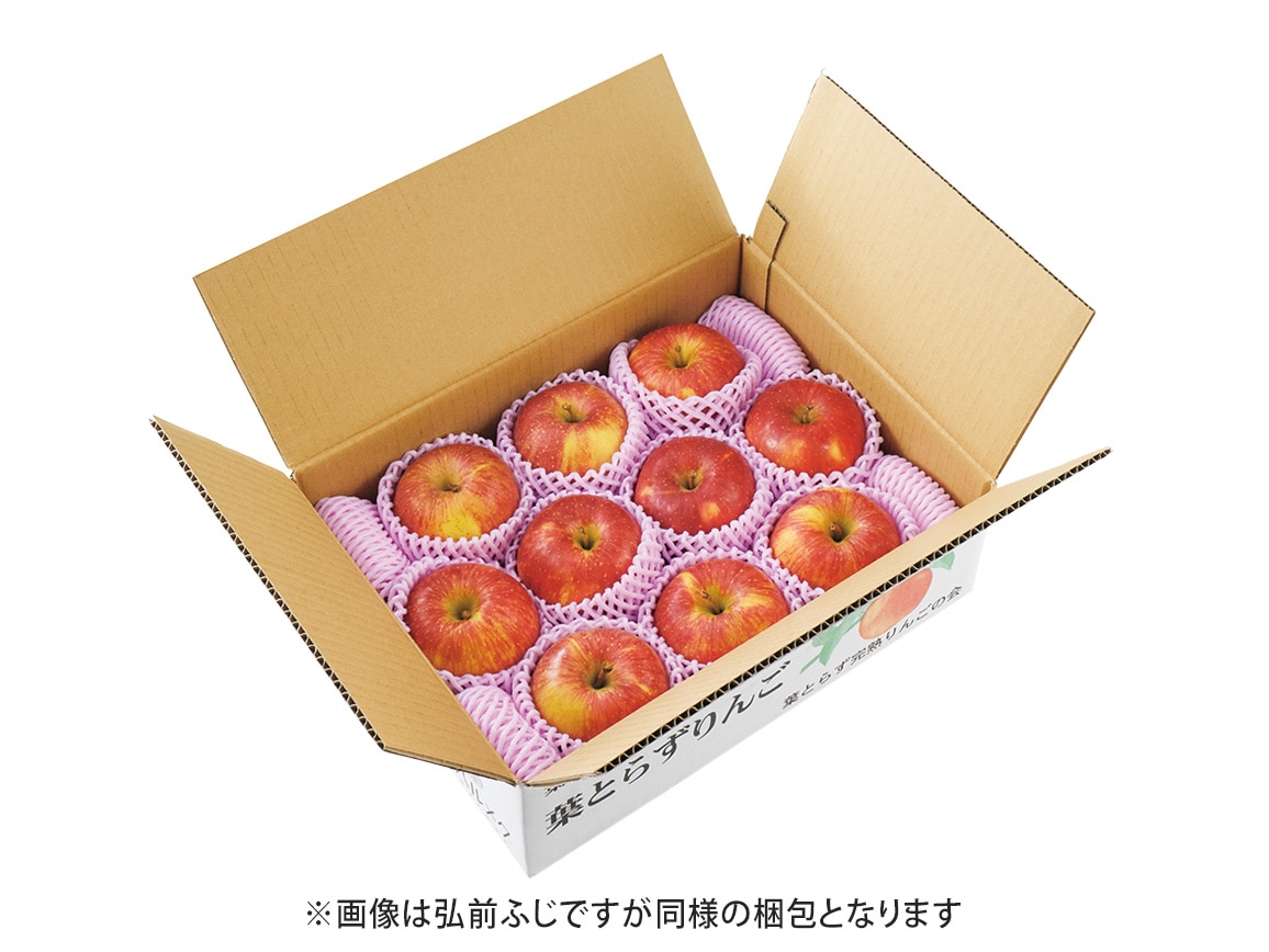 特選 葉とらずサンふじ(2.7Kg) 特選 葉とらずサンふじ(2.7Kg)