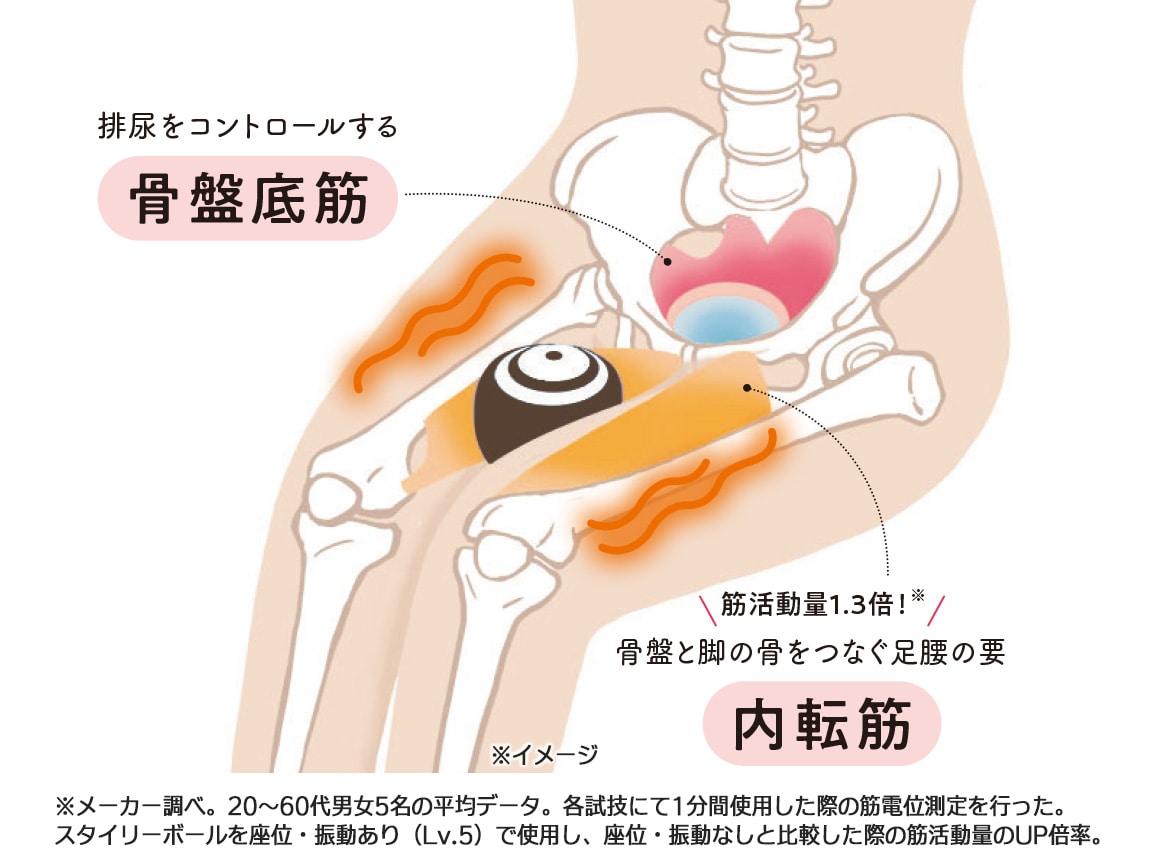 スタイリーボール温 スタイリーボール温