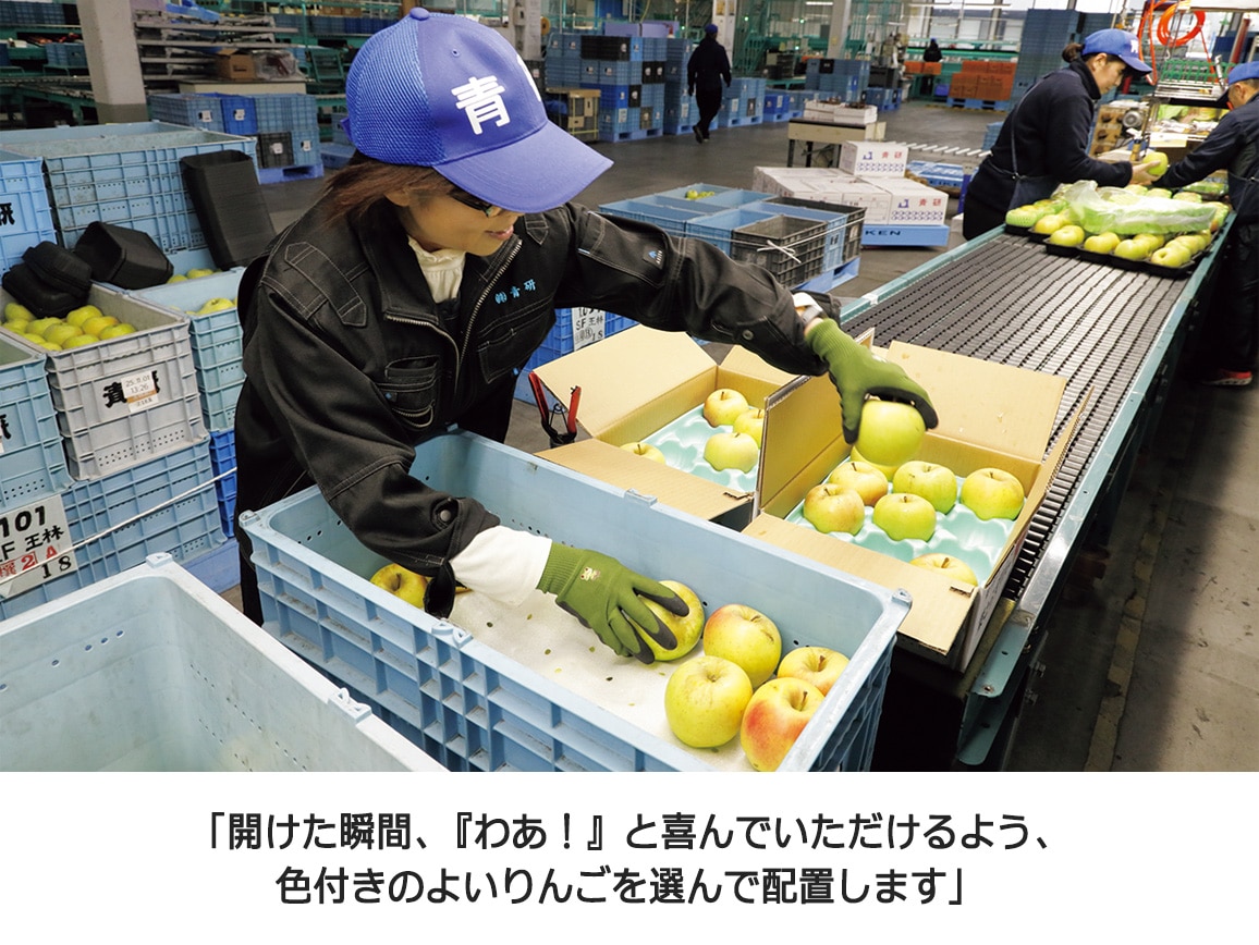 【送料込み価格】青森葉とらずりんご産直便 全3回お届けコース 【送料込み価格】青森葉とらずりんご産直便 全3回お届けコース