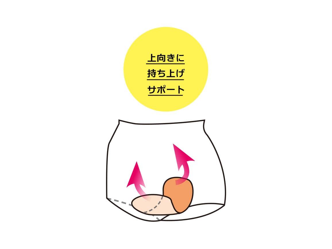 ハルメク ヘルスプラス・骨盤底筋&ヒップサポートショーツ ハルメク ヘルスプラス・骨盤底筋&ヒップサポートショーツ