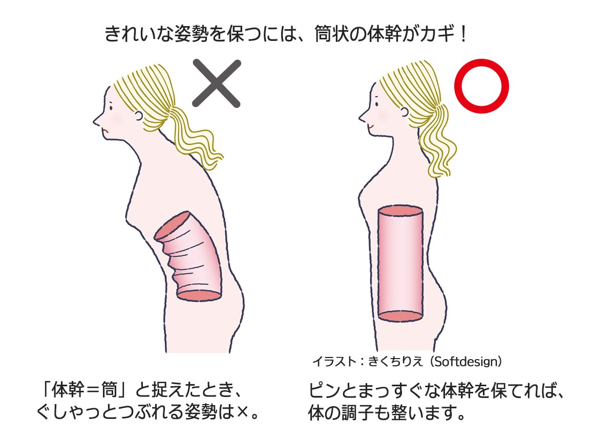 ハルメク 健康サポート・体幹&姿勢シェイパー(通年用)【広告商品】 ハルメク 健康サポート・体幹&姿勢シェイパー(通年用)【広告商品】