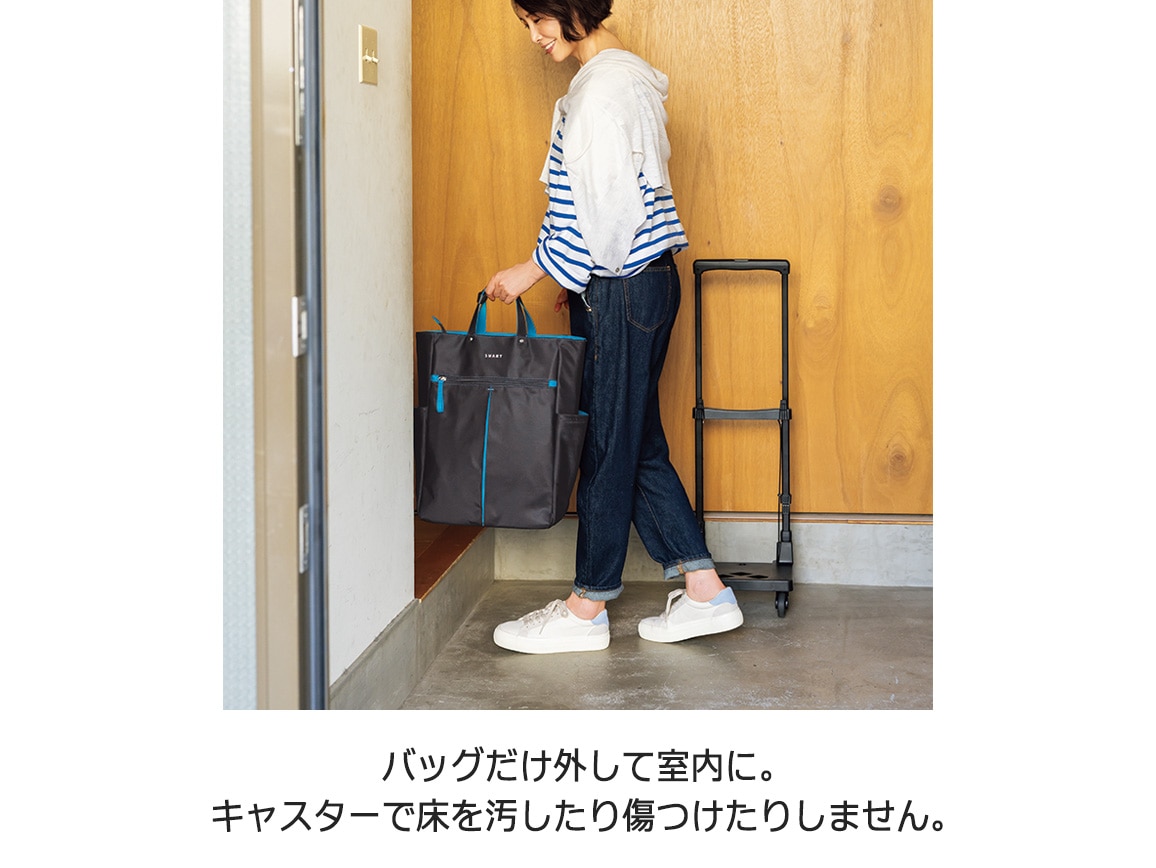 スワニー 荷物がラクに運べるキャリー グイ(L) スワニー 荷物がラクに運べるキャリー グイ(L)