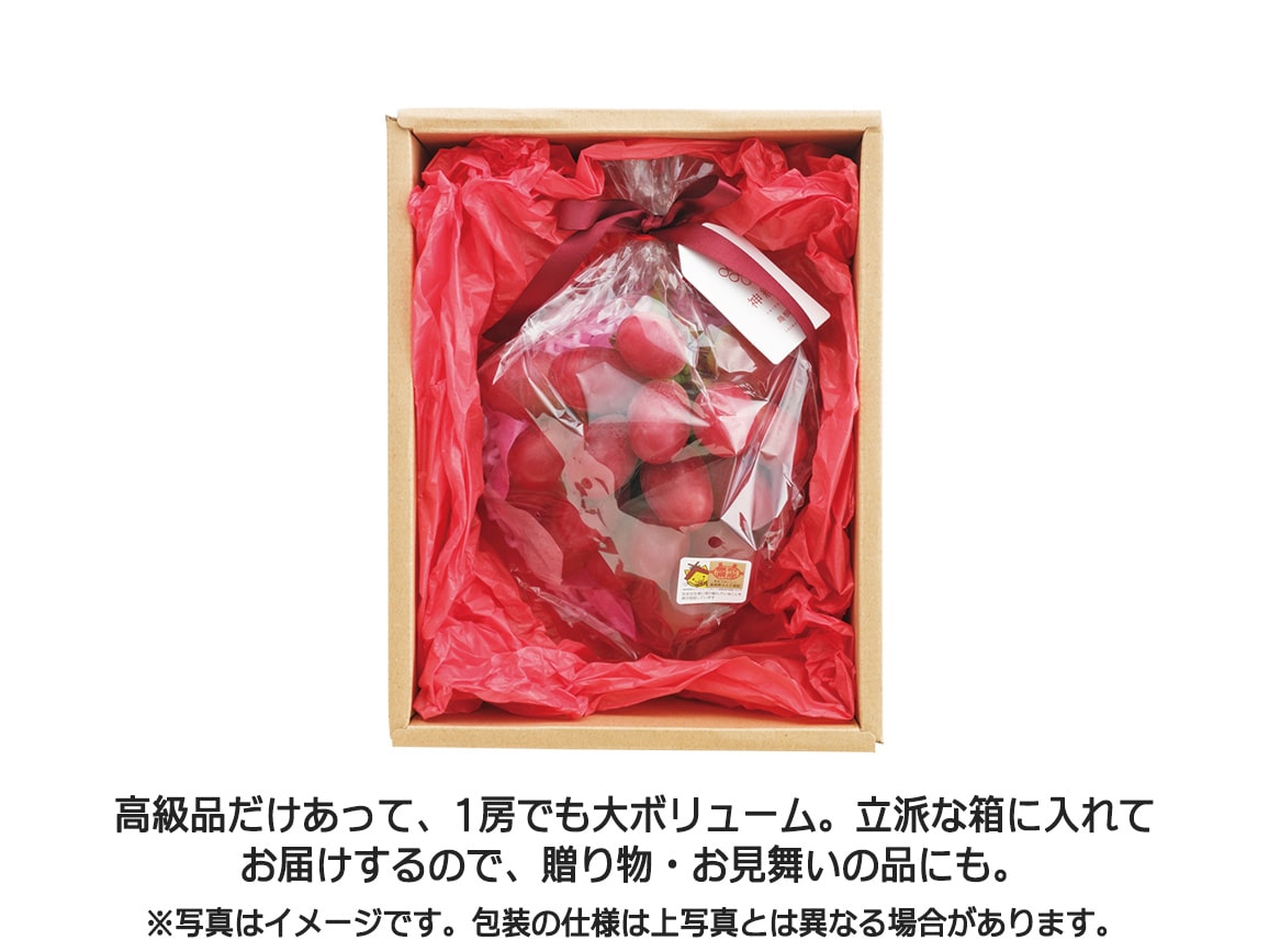 【送料込み価格】島根県産 神紅(1房)化粧箱入 【送料込み価格】島根県産 神紅(1房)化粧箱入