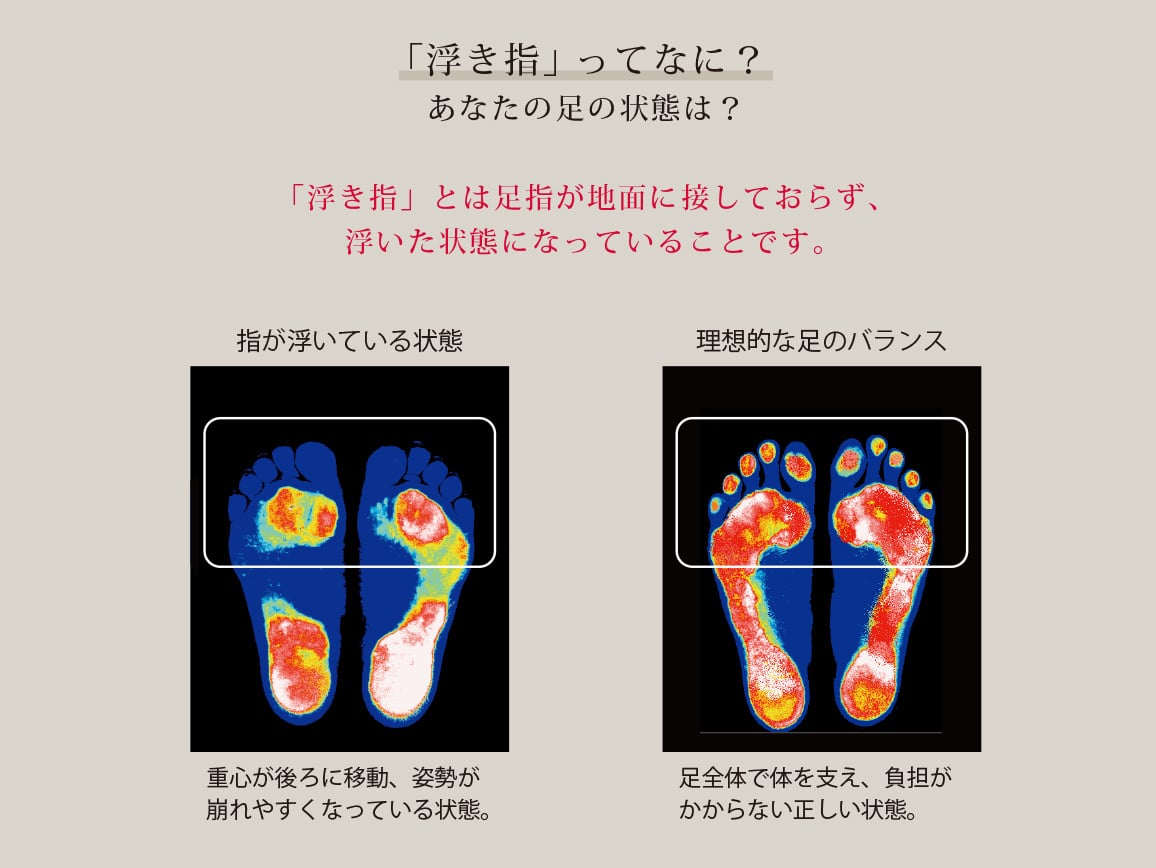 ハルメク ローカットファスナースニーカーメタリック ハルメク ローカットファスナースニーカーメタリック