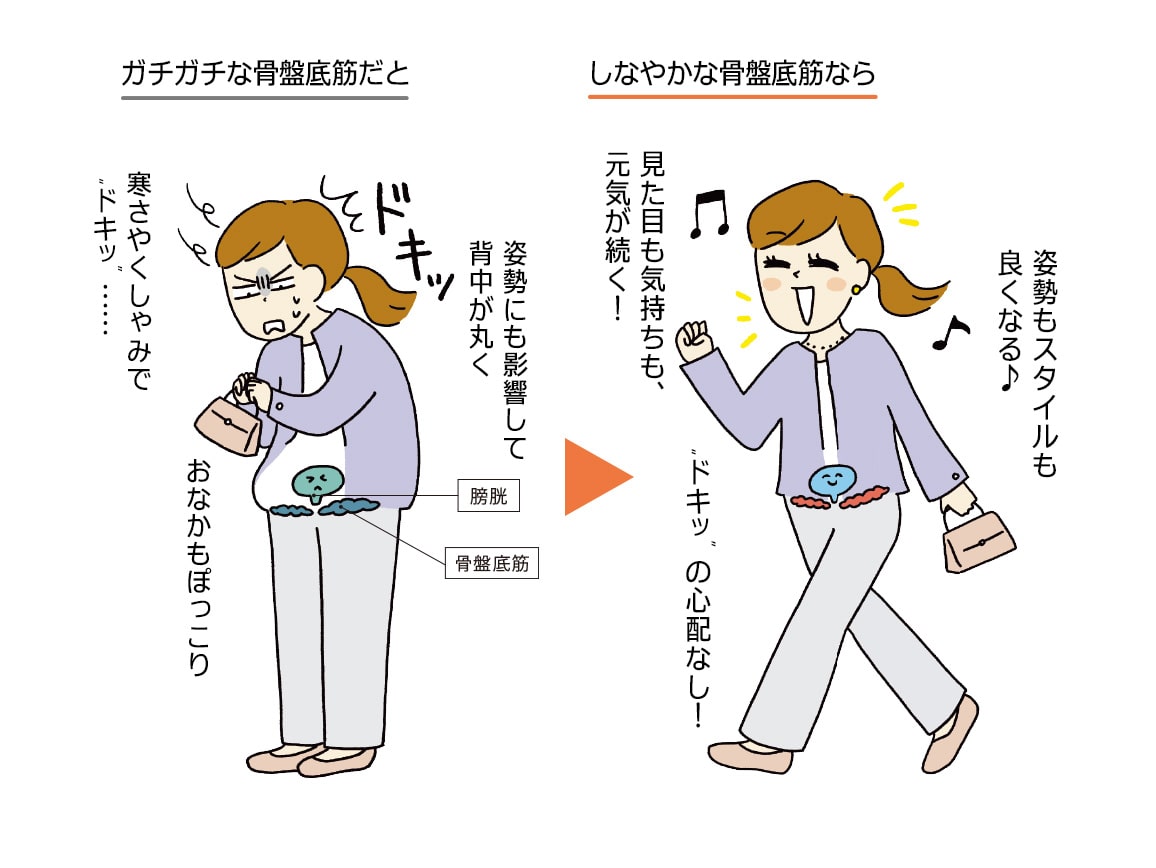 ハルメク 健康サポート・骨盤底筋サポートショーツ(あったか裏起毛・パッド付き)(旧タイプ) ハルメク 健康サポート・骨盤底筋サポートショーツ(あったか裏起毛・パッド付き)(旧タイプ)