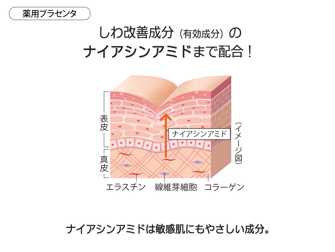 プラセンタ内外美容セット_WEB プラセンタ内外美容セット_WEB