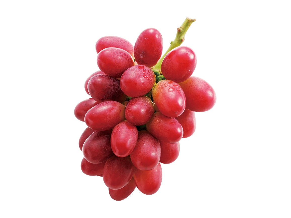 【送料込み価格】島根県産 神紅(1房)化粧箱入 【送料込み価格】島根県産 神紅(1房)化粧箱入