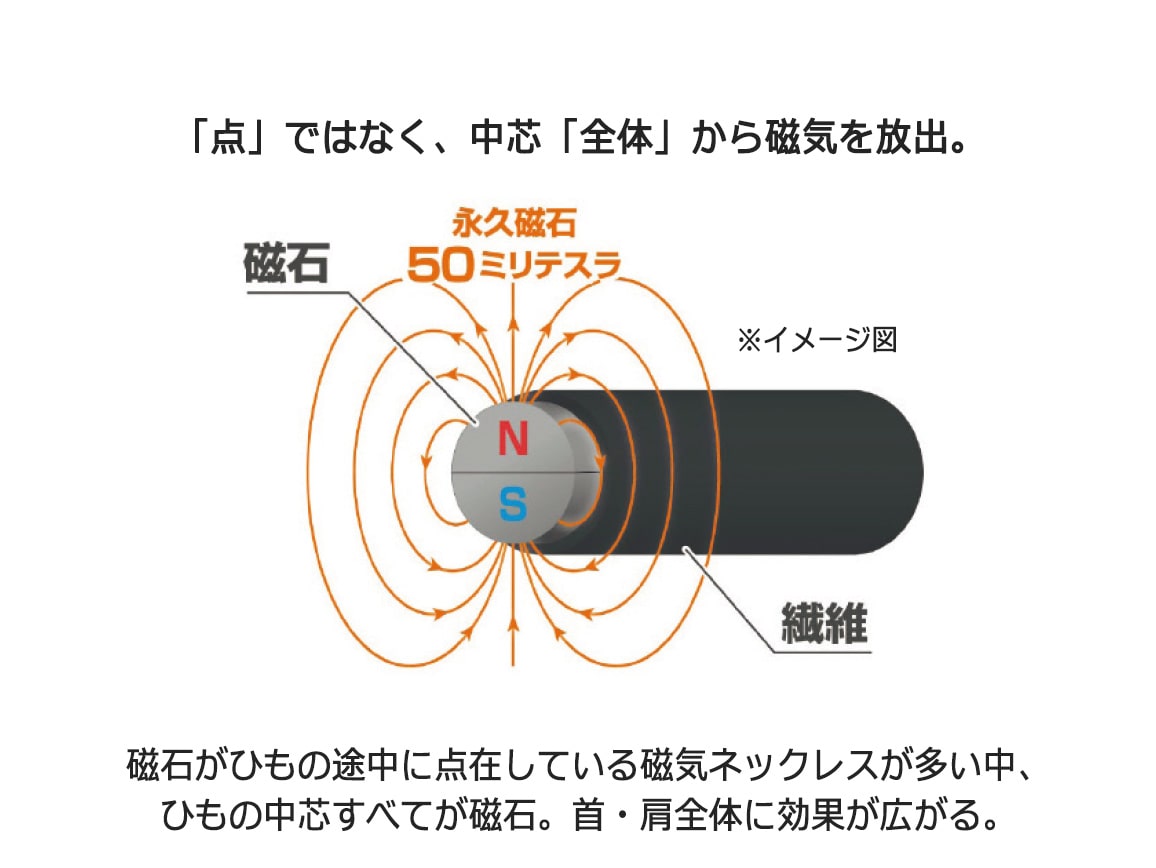ファイテン RAKUWA磁気チタンネックレスVタイプ ファイテン RAKUWA磁気チタンネックレスVタイプ