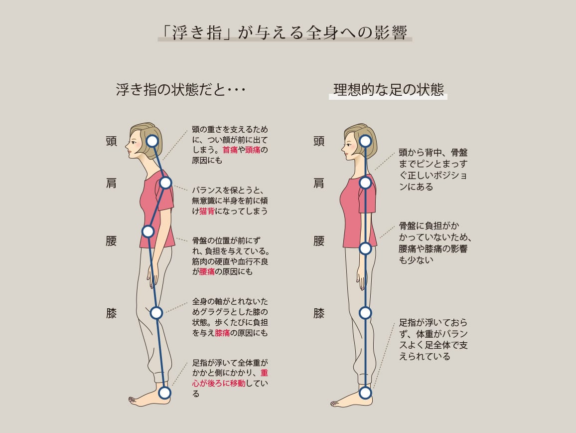 ハルメク インサイドFハイカットスニーカー ハルメク インサイドFハイカットスニーカー