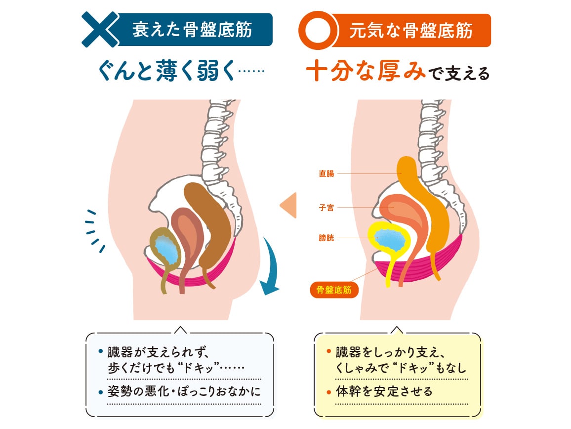ハルメク 健康サポート・骨盤底筋サポートショーツ（涼やか綿