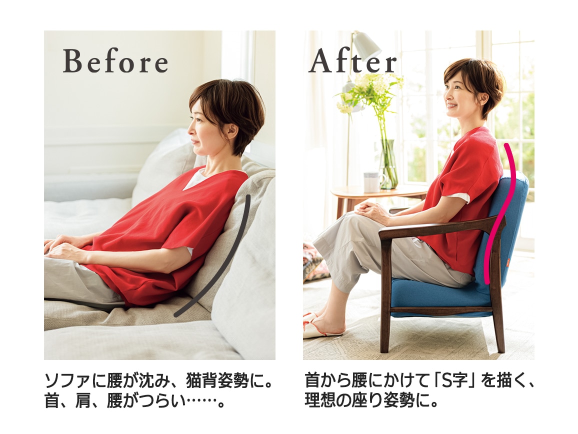pinto Aチェア(専用カバー付き)【広告商品】 pinto Aチェア(専用カバー付き)【広告商品】