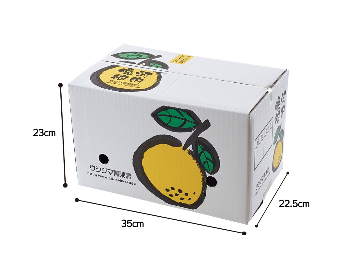 そばかす晩柑(3.0kg)(単品) そばかす晩柑(3.0kg)(単品)