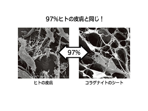 セリジエ コラゲナイト プレミアム 公式 ハルメク通販サイト