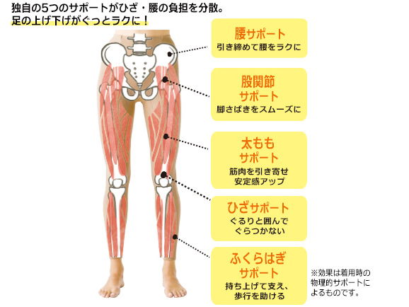 【返金保証】ハルメク 健康サポート・バランスサポートスパッツ ロング丈(通年用) 【返金保証】ハルメク 健康サポート・バランスサポートスパッツ ロング丈(通年用)