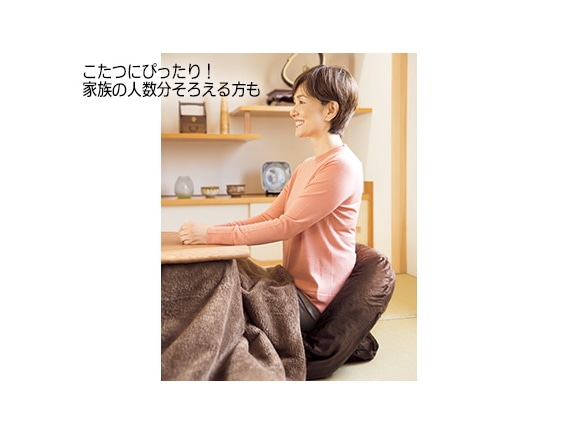 ハルメク 私の腰尻(こしり)ラク座(専用冬カバー付き) ハルメク 私の腰尻(こしり)ラク座(専用冬カバー付き)