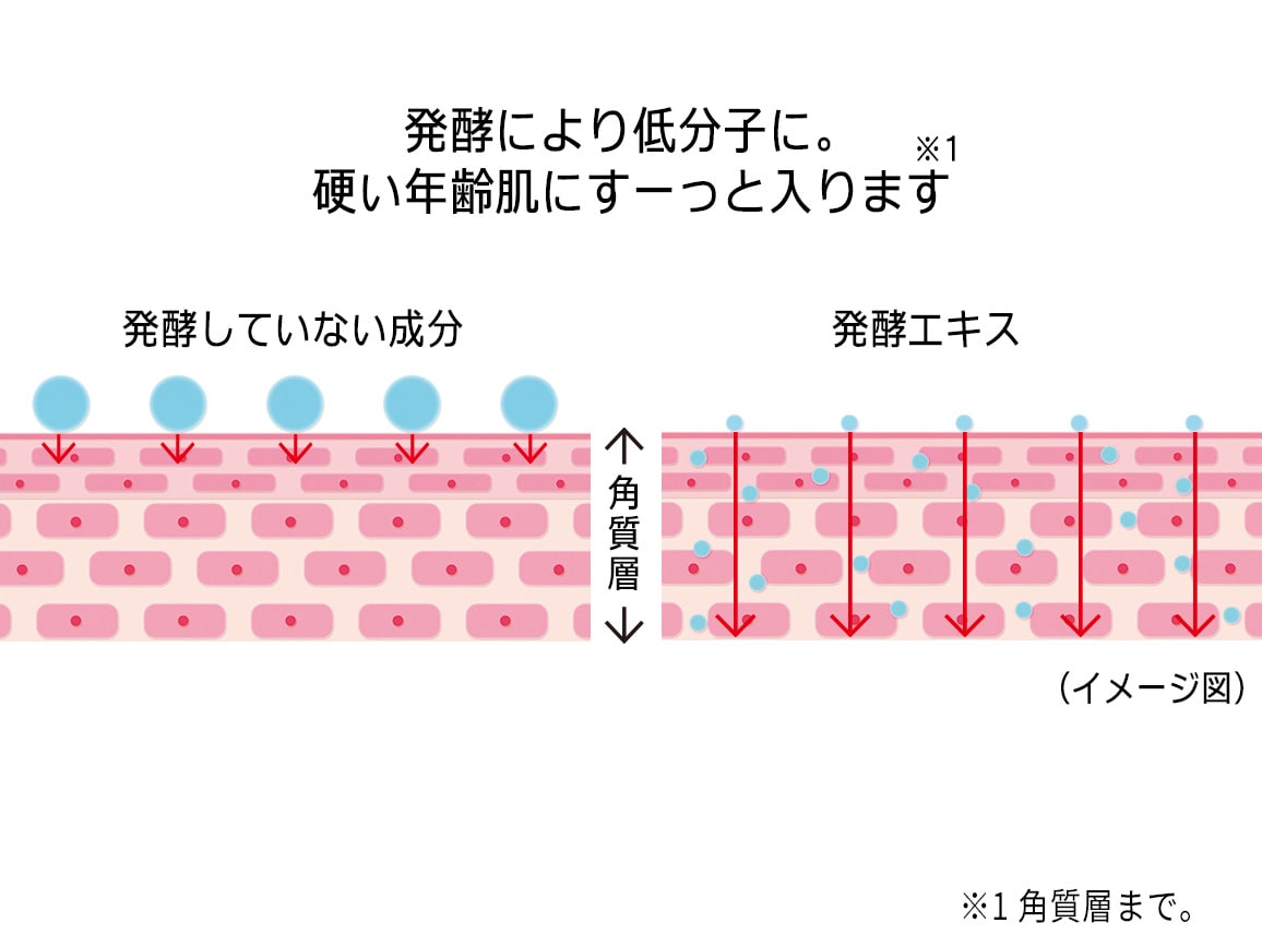 セリジエ 美肌液 朝夜 ビタミンｃ美容液ｅｘ プレゼントつき 公式 ハルメク通販サイト
