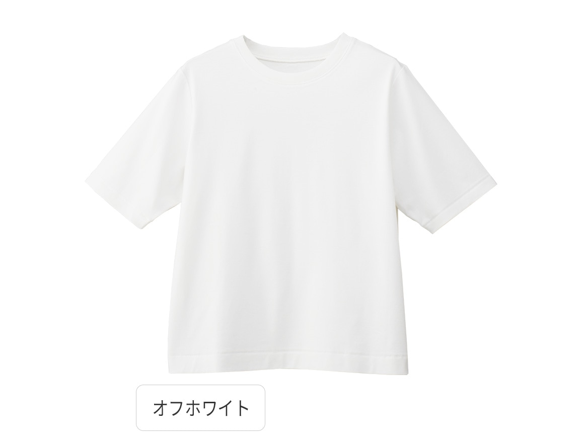 大人のコットンTシャツ【広告商品】 大人のコットンTシャツ【広告商品】