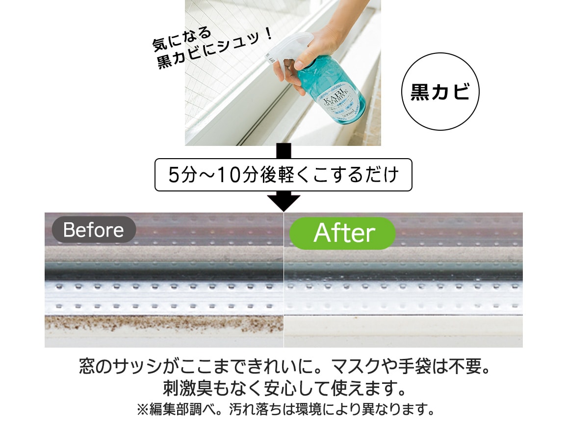 乳酸クリーナー カビグッバイ(2本組) 乳酸クリーナー カビグッバイ(2本組)