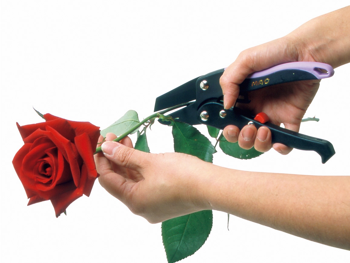 力のいらない剪定ばさみ ラチェットパワー 力のいらない剪定ばさみ ラチェットパワー