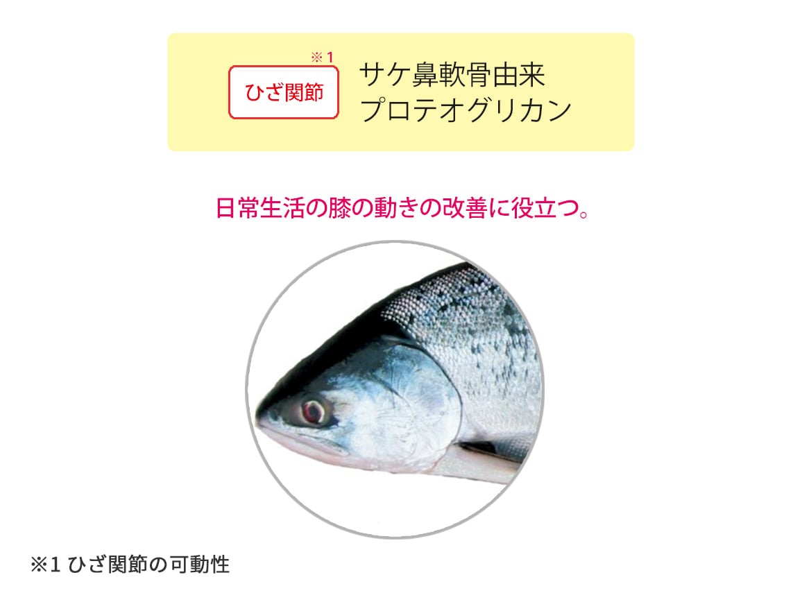 ハルメク 歩くミカタ<ひざ関節・骨・筋>(1本) ハルメク 歩くミカタ<ひざ関節・骨・筋>(1本)