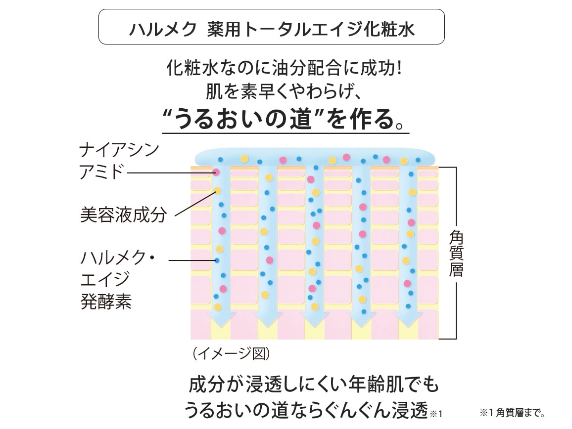 ハルメク 美肌の基本 ミニセット＜化粧水＆クリーム＞送料無料