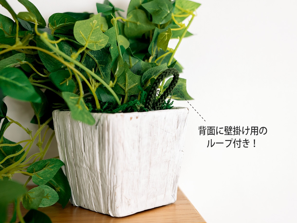 光触媒加工 壁掛けフィロ 光触媒加工 壁掛けフィロ