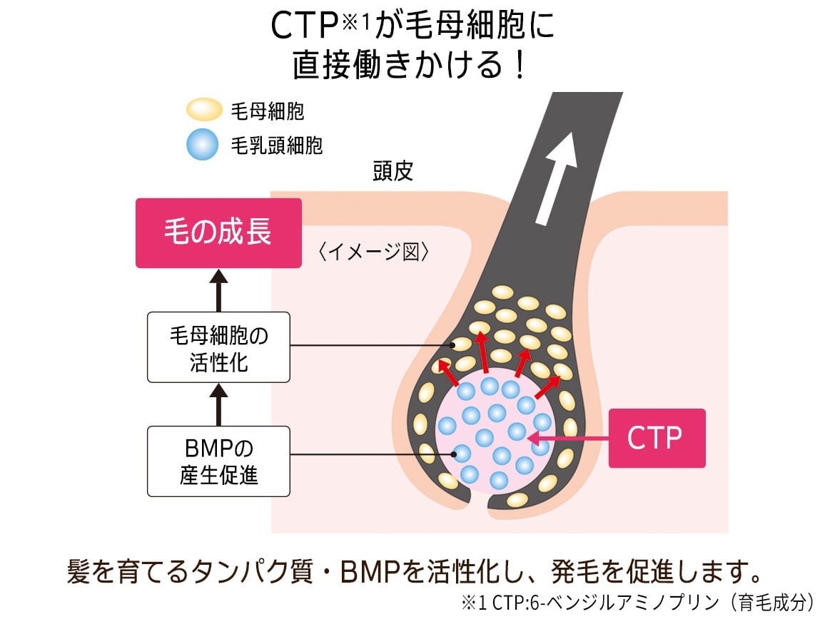 セリジエ 薬用スカルプエッセンスCTP(旧タイプ): | カタログ通販