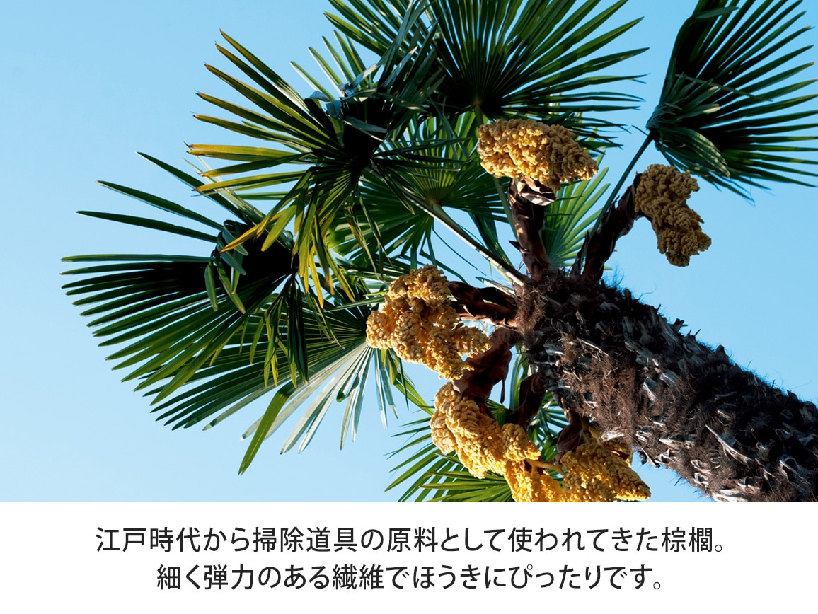 国産棕櫚 手ほうき 公式 ハルメク通販サイト 国産棕櫚 手ほうき 公式 ハルメク通販サイト