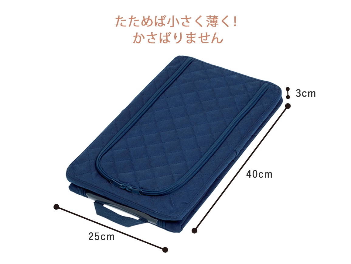 取り出しやすい防ダニ衣類収納ボックス(2個組) 小 取り出しやすい防ダニ衣類収納ボックス(2個組) 小