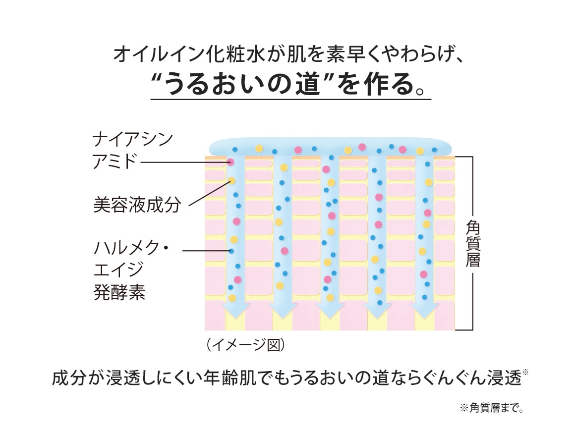 化粧水 販売 真皮まで