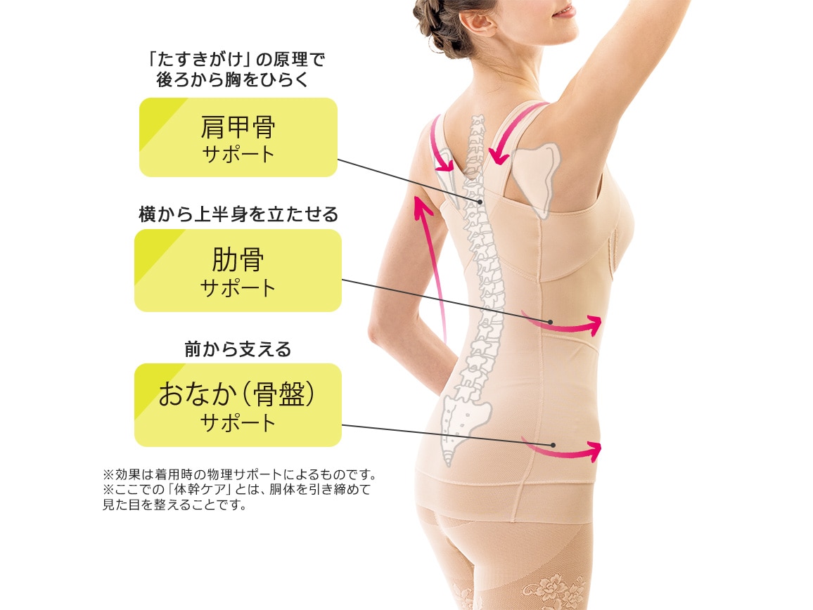 ハルメク 健康サポート・体幹&姿勢シェイパー(涼やかメッシュ)(旧タイプ) ハルメク 健康サポート・体幹&姿勢シェイパー(涼やかメッシュ)(旧タイプ)
