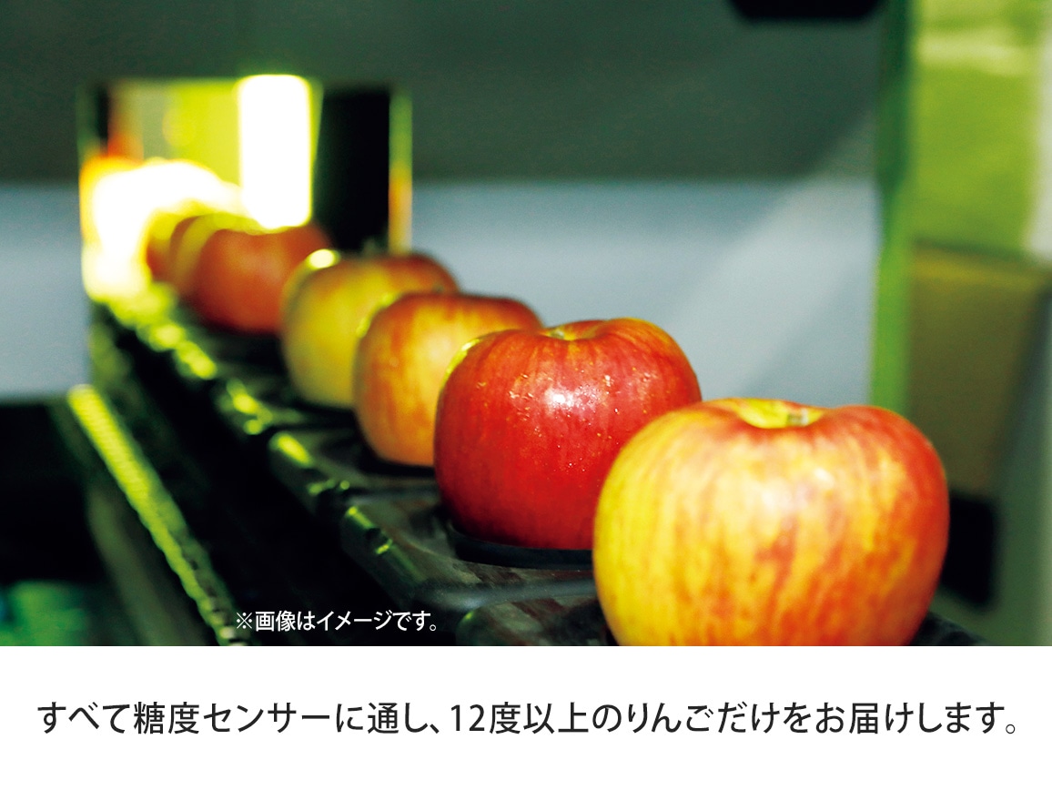 特選 葉とらずサンふじ(2.7Kg) 特選 葉とらずサンふじ(2.7Kg)