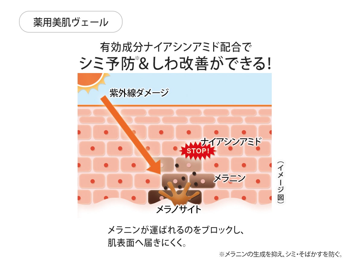 ハルメク 薬用美肌ヴェール&ファンデーションブラシセット ハルメク 薬用美肌ヴェール&ファンデーションブラシセット