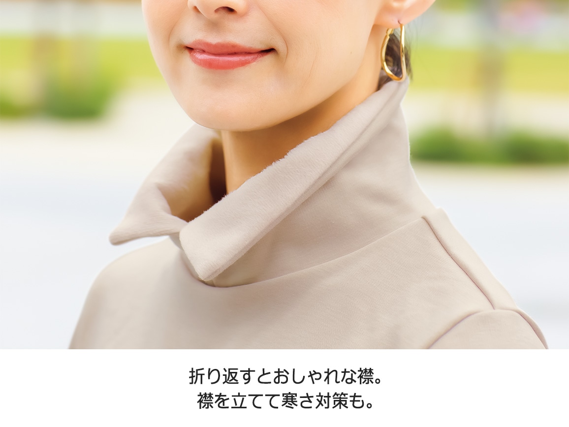 襟元デザイン裏シャギープルオーバー【広告商品】(03_L 12_ワイン): ｜ カタログ通販のハルメク