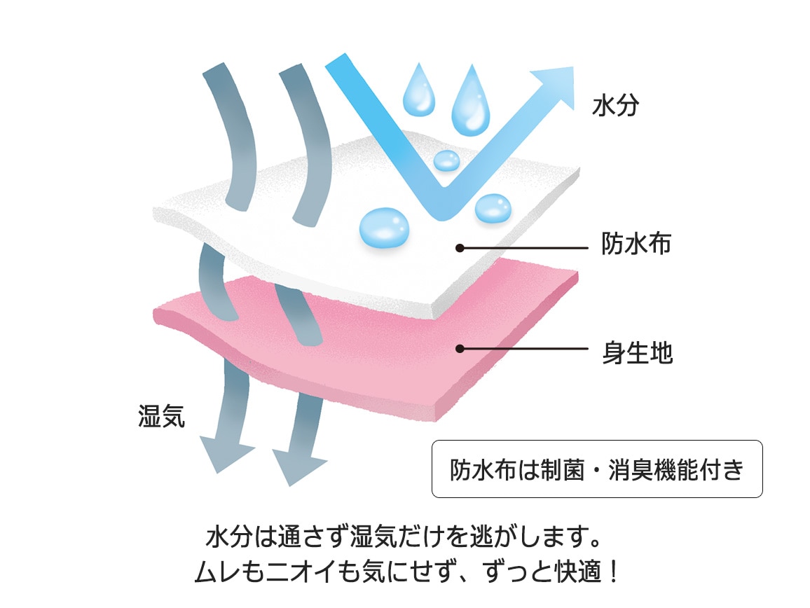 ハルメク 健康サポート・安心ショーツ(サニタリータイプ・ハイガード) ハルメク 健康サポート・安心ショーツ(サニタリータイプ・ハイガード)