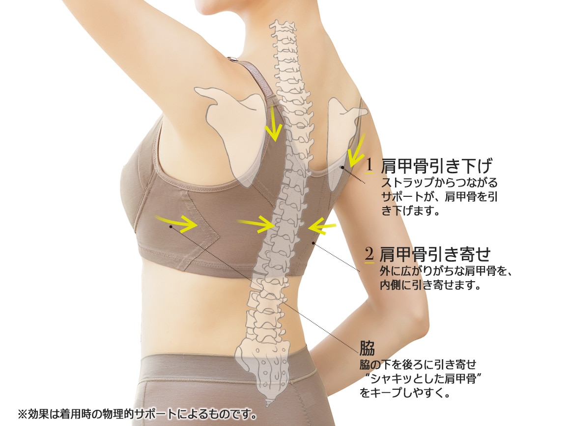 ハルメク ヘルスプラス・背すじシャキッと美胸ブラ ハルメク ヘルスプラス・背すじシャキッと美胸ブラ