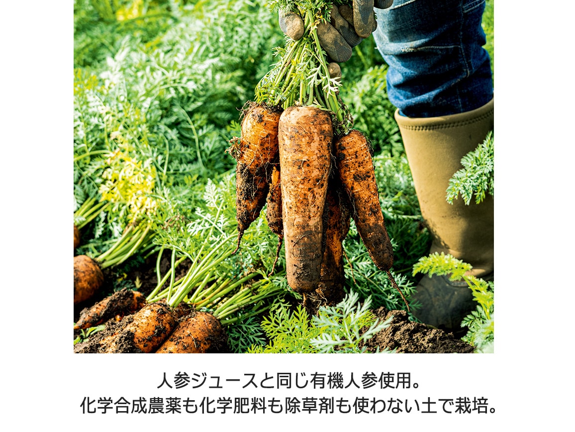 ハルメク 人参チップス（15g8袋）: ｜ カタログ通販のハルメク