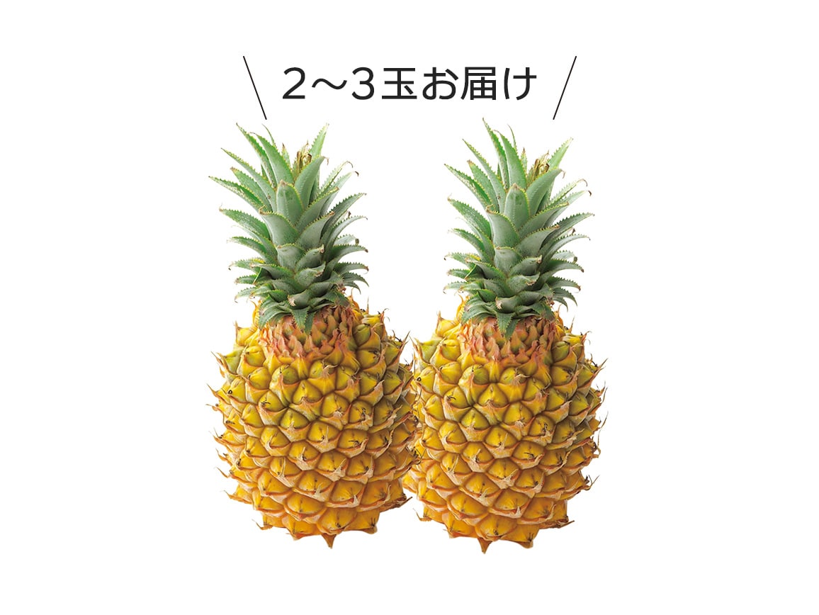 石垣島産 ちぎって食べられるボゴールパイン(1.5kg) 石垣島産 ちぎって食べられるボゴールパイン(1.5kg)